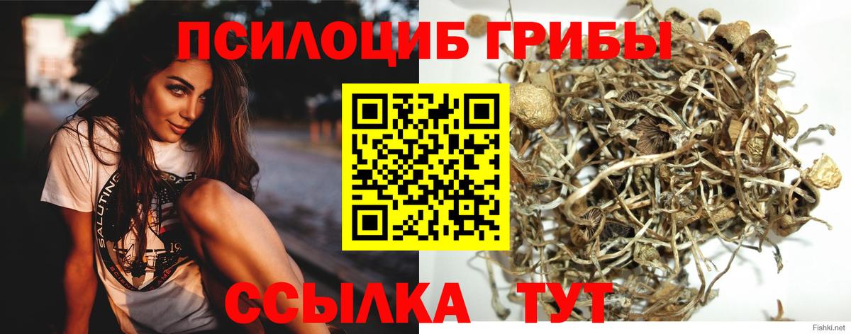 Псилоцибиновые грибы Magic Shrooms  Вход с VPN  Галлюциногенные грибы прущие грибы  Черногорск 