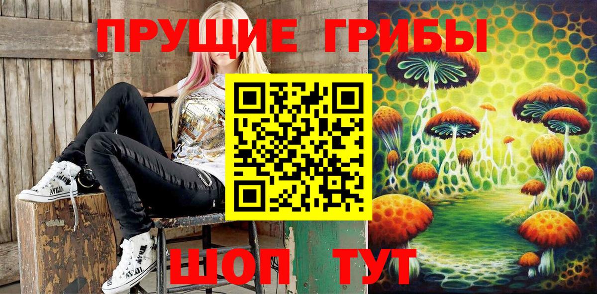 Галлюциногенные грибы Magic Shrooms Черногорск
